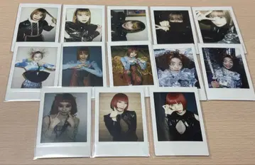 ASP 마틸다 트윈즈 폴라로이드