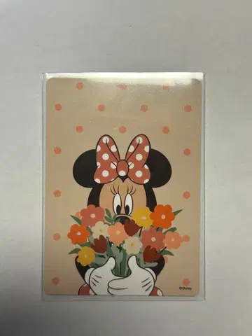 디즈니 스토어 가위바위보 카드 30주년 미니