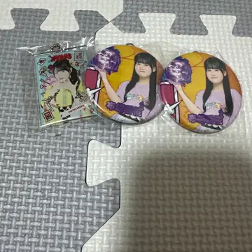 호테이 모모카 캔뱃지 아크릴 키링 모음