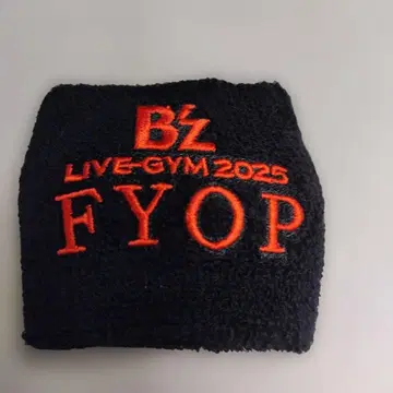 B'zLIVE-GYM2025FYOP 가챠가챠 리스트 밴드 블랙