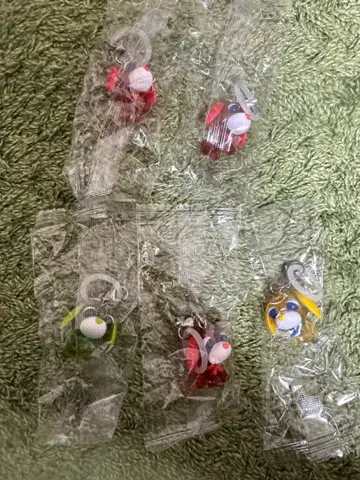 오차이누 메지루시 액세서리 5세트