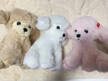 강아지 봉제 인형 3종 세트
