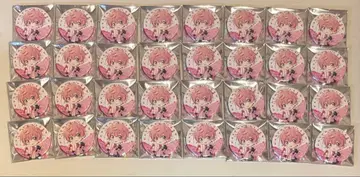 스토푸리 사토미 2023 아리투어 전반 데포 캔뱃지 54개