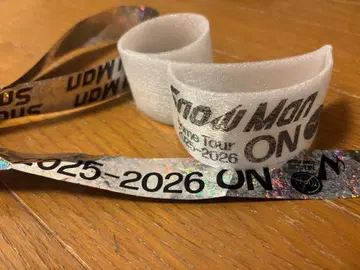 Snow Man Dome Tour 2025-2026 낙하물