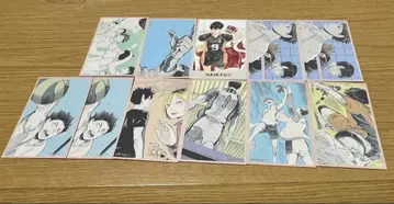 하이큐 메모리얼 컬렉션 묶음 판매