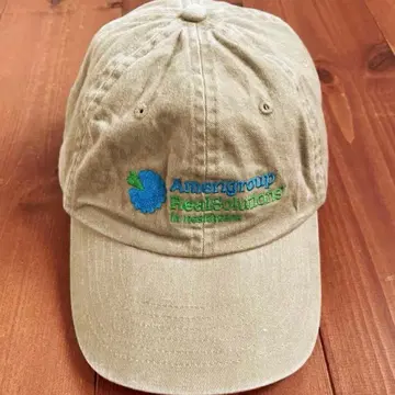 데드스탁 USA 기업 로고 90s 빈티지 캡 베이지