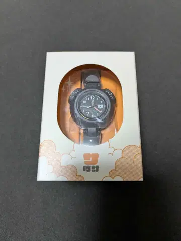 CASIO 시계 SAN-100H-1BJR