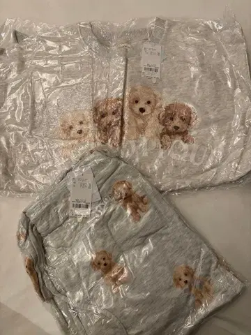 젤라또피케 룸웨어