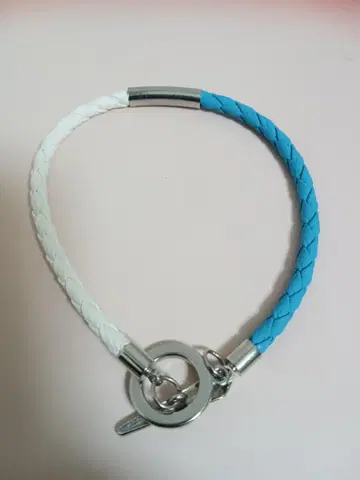 노기자카46 사이토 아스카 개별 컬러 팔찌