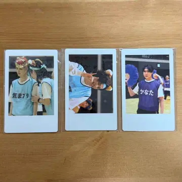 DD 대운동회 하피카