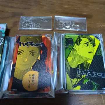 하이큐!! 도미노풍 아크릴 키링 히나타 사쿠사