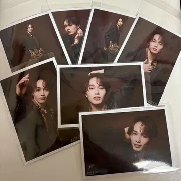 초특급 마사히로 생탄 브로마이드