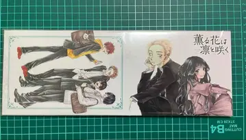 코믹스 수납box (10권분)