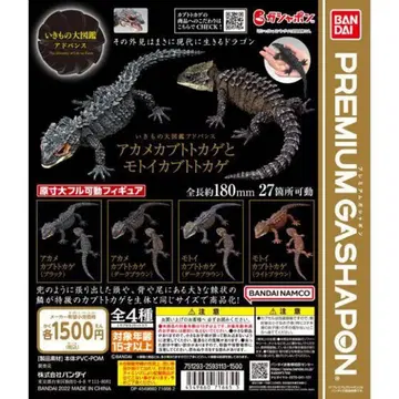 생물대도감 어드밴스