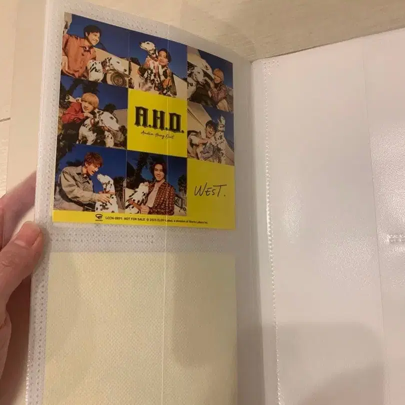 8번째 상품 이미지