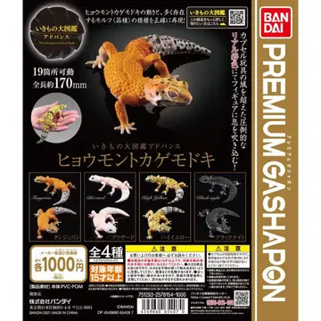 생물대도감 어드밴스