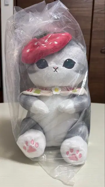 후르츠 샌드냥 B상