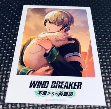 WIND BREAKER 불량들의 영웅담 폴라로이드 카드 윈히로