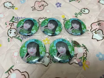 iLiFE! 무도관 와카바노아 캔뱃지 5개