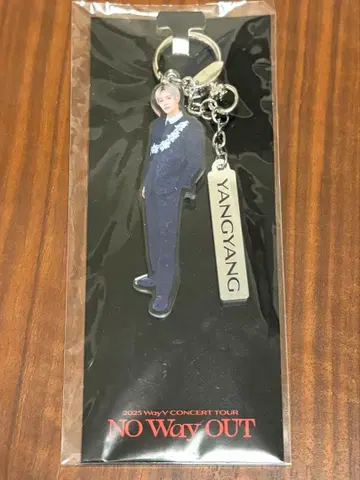 WayV NO Way OUT 아크릴 키링 양양