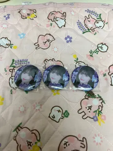 iLiFE! 무도관 준령 미키 캔뱃지 3개