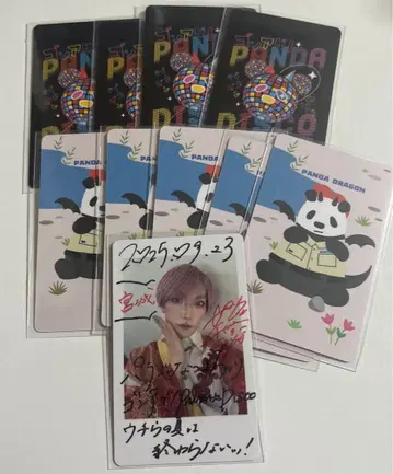팬더 디자인 사인 포함 사진 4장 세트