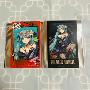 돈키 하츠네 미쿠 폴라로이드 2025