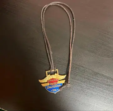 할리 데이비슨 참