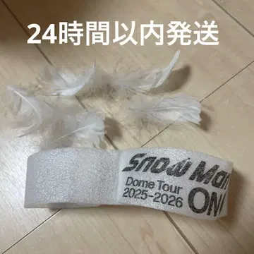 SnowMan ON 음고지신 음표 낙하물 Dome tour