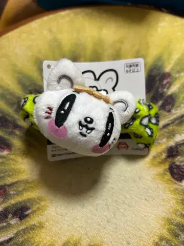 GENERATIONS 제 고양이 스크런치 사노 레오