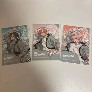 파라라이 도프보 하프 브로마이드 1Nm8