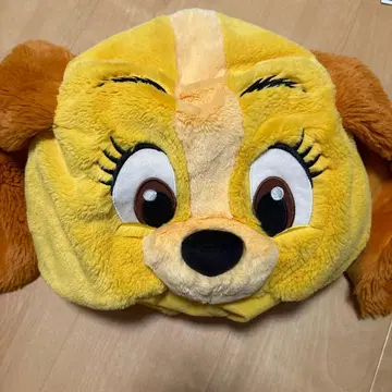 디즈니 팬캡 레이디