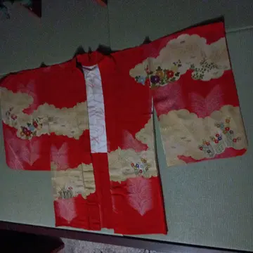 빨간 구름과 꽃무늬 겉옷