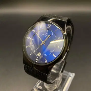 즉시 결제 SKAGEN 스카겐 손목시계 T233XLTMN