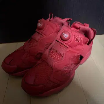 Reebok 펌프 퓨리