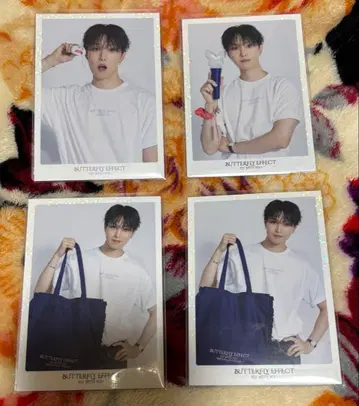 호리 나츠키 시크레 포토 카드