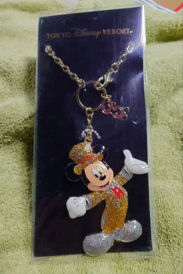 TOKYO 디즈니 리조트 30주년 백참, 키체인