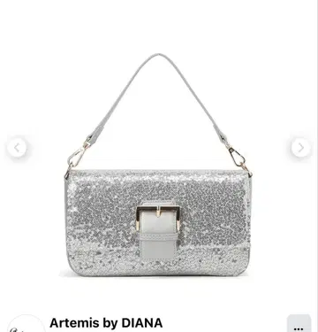 다이애나 실버 스팽글 숄더백