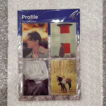 요시자와 료 Profile 마그넷 세트