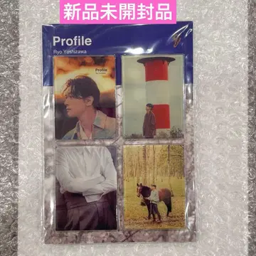 요시자와 료 Profile 마그넷 세트
