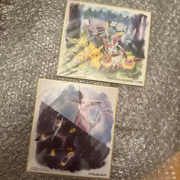 포켓몬 색지 art 컬렉션 이브이 부스터즈 에볼루션즈 2점