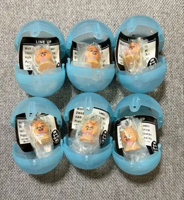 StrayKids SKZOO 메지루시 액세서리 HAN QUOKKA