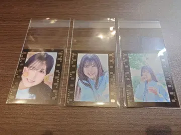 히나타자카 츠루사키 니카 신참자 2025 랜덤 필름풍 스티커 3종 컴프