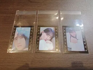 히나타자카 마츠오 사쿠라 신참자 2025 랜덤 필름풍 스티커 3종 컴프