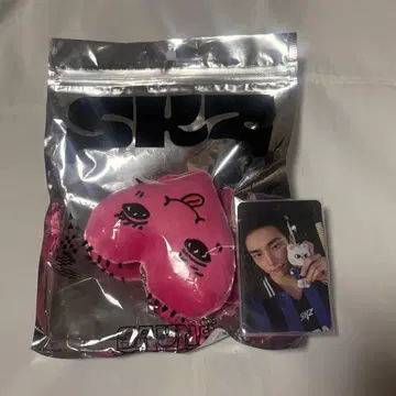 straykids 팝업 멘프로 백참 현진 트레이딩 카드