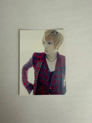 Acid Black Cherry 특전 트레이딩 카드