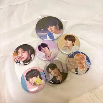 Stray Kids 아이엔 캔뱃지