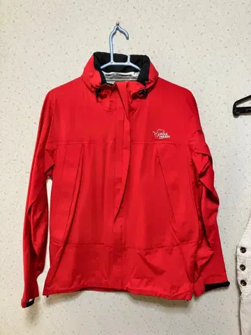 폴 워스 후드티