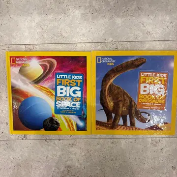 리틀 키즈 퍼스트 빅 북 2권 세트