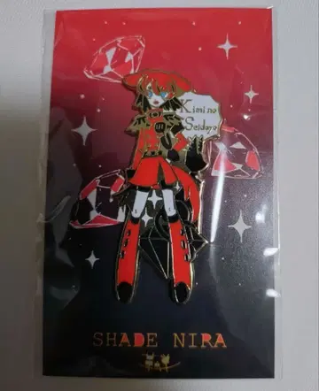 혁선전 개인전 3원색의 비망록 핀 배지 셰이드 니라